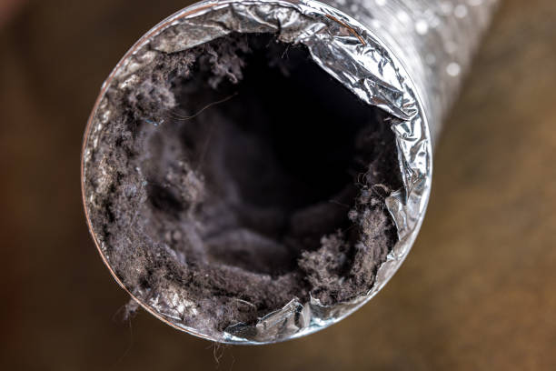 Best Local Air Duct Cleaning Services  in Latimer, MS